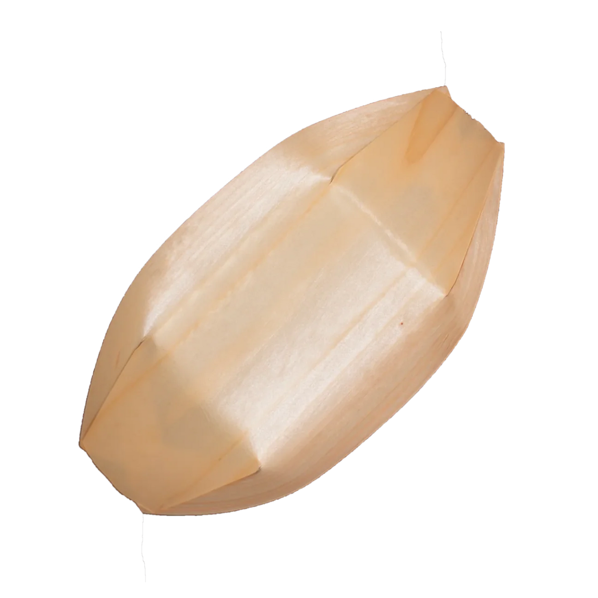 Appetizer boat on a white background