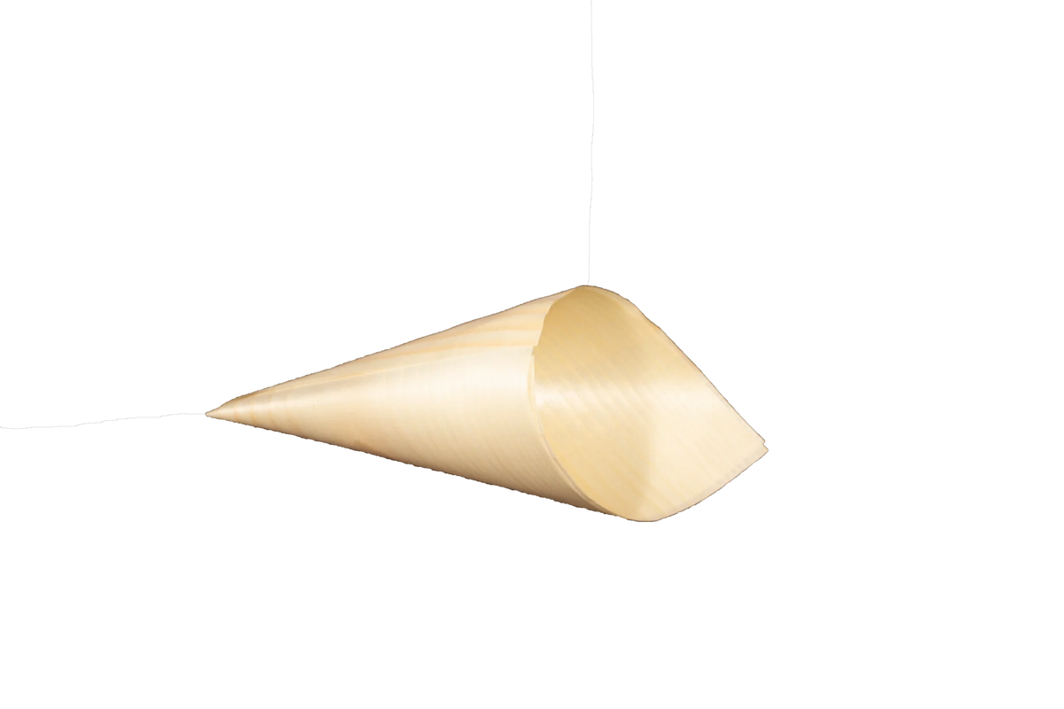 3" Wooden Cone | Compostable