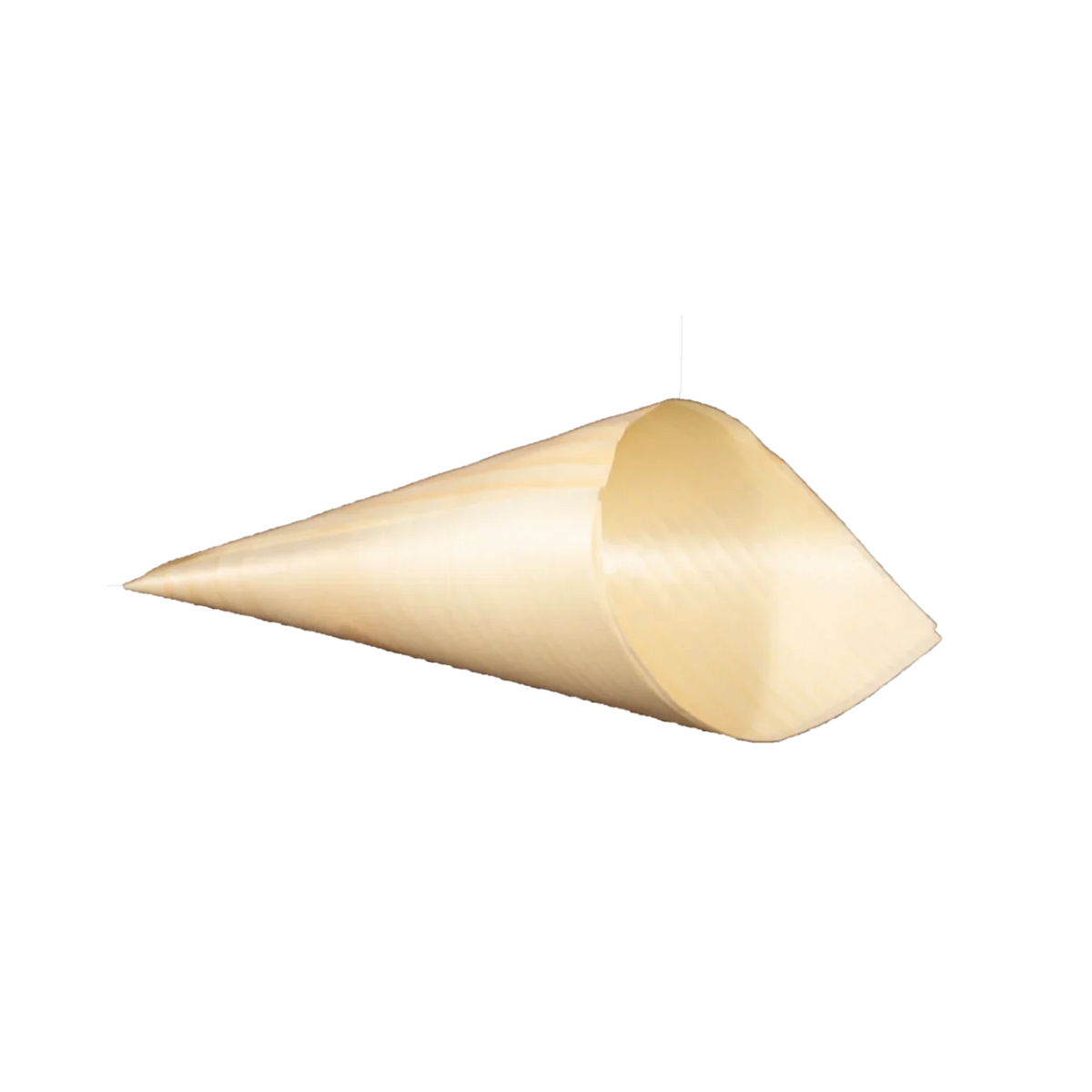5" Wooden Cone | Compostable