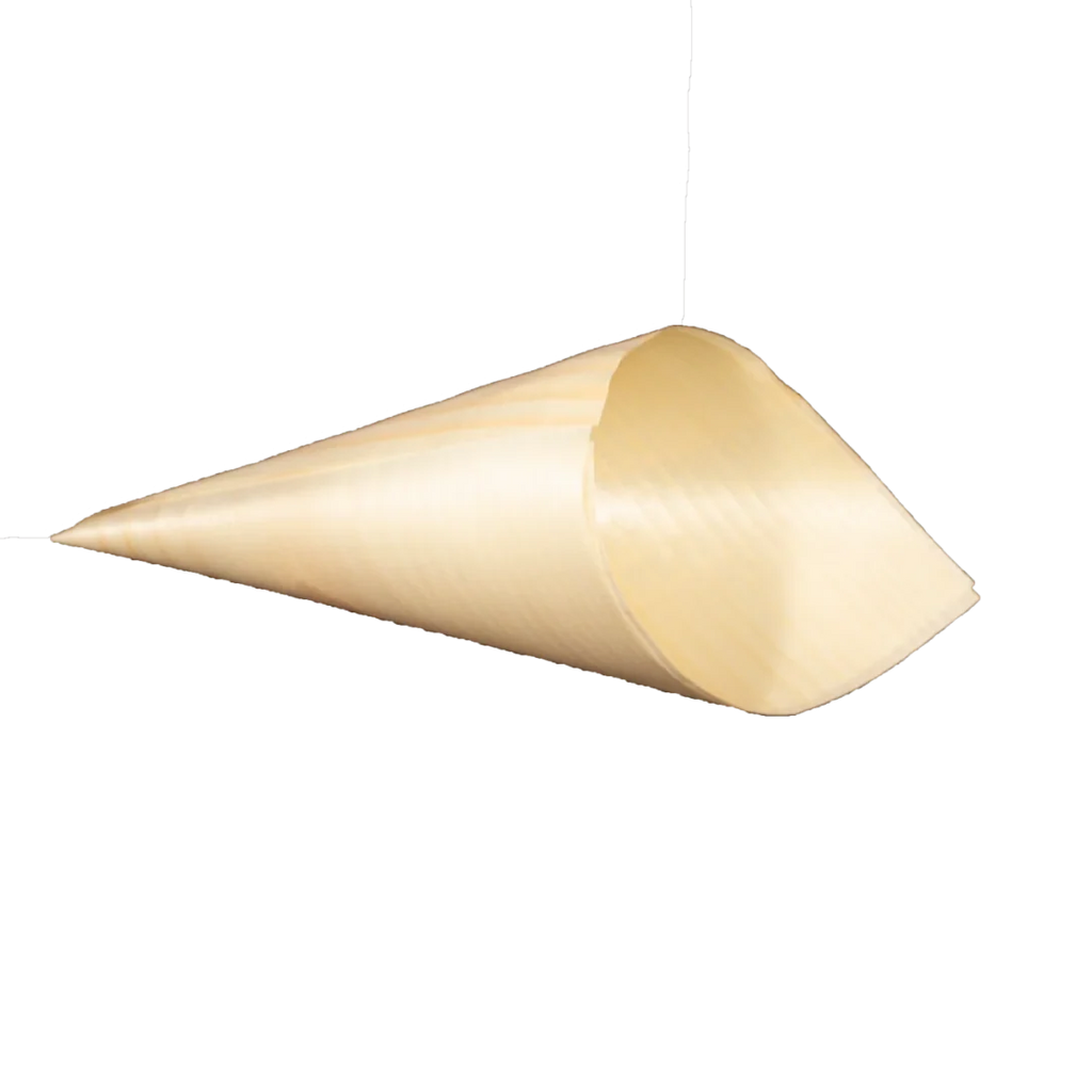 Food Cone on a white background