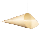 Food Cone on a white background