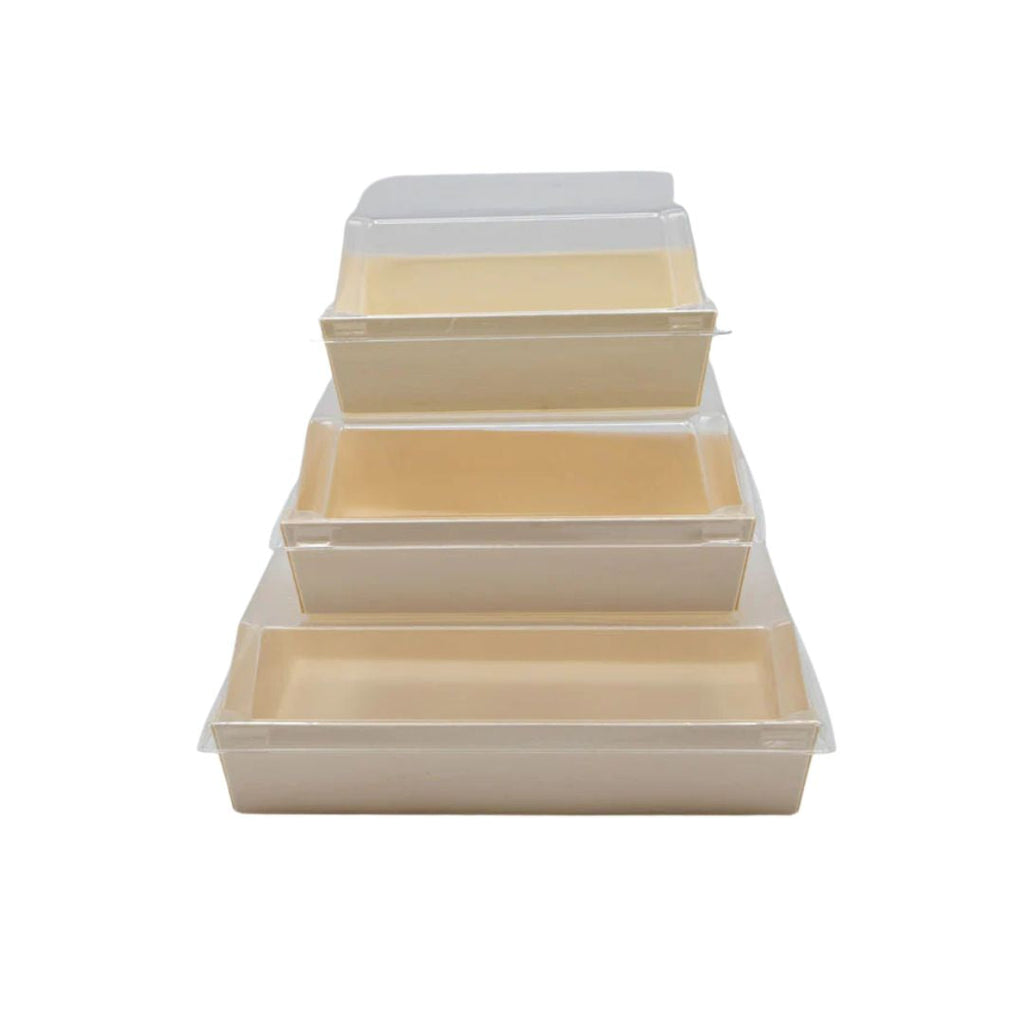 Set of food boxes with clear lids on a white background