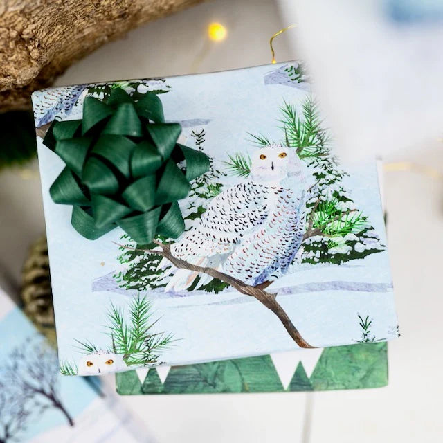 Snowy Owl Any Occasion Wrapping Paper | 3 Sheets & Gift Tags