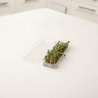 0.25 oz. Top Seal Hanging Fresh Herb & Microgreen Package | Clear | Good Natured® | Compostable PLA