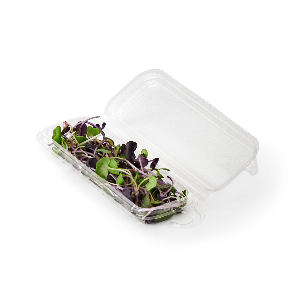 0.25 oz. Top Seal Hanging Fresh Herb & Microgreen Package | Clear | Good Natured® | Compostable PLA
