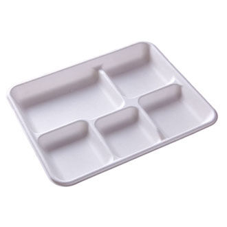 8.0" x 10.5" 5 Compartment Tray | School Lunch Tray