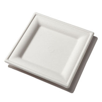 8" Square Plate | White Sugarcane