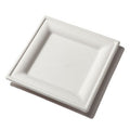 8" Square Plate | White Sugarcane
