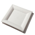 10" Square Plate | White Sugarcane