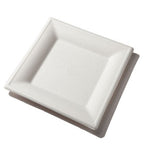 10" Square Plate | White Sugarcane
