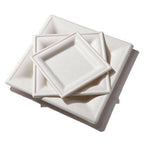 8" Square Plate | White Sugarcane