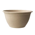 Compostable fiber bowls on a white background