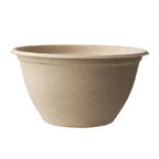 Compostable fiber bowls on a white background