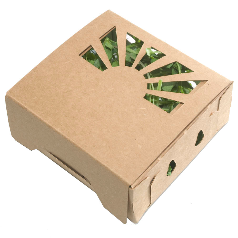 1/2 Pint Kraft Produce Container | Vented | Compostable & Recyclable