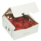 1/2 Pint Kraft Produce Container | Vented | Compostable & Recyclable