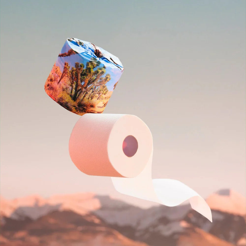 A roll of toilet paper with a matching landscape-printed paper strip floating against a soft sky and mountain background. The paper features a desert canyon scene with trees and warm sunset tones.