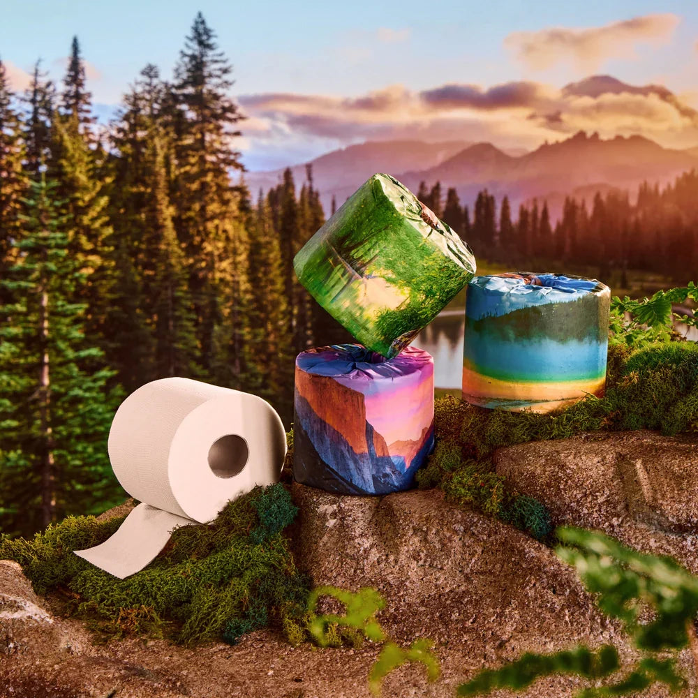 Three toilet paper rolls styled with colorful landscape prints and one plain white roll, displayed on mossy rocks in front of a forest and mountain sunset backdrop.
