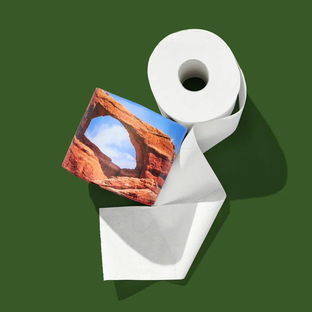 A roll of toilet paper with a printed desert arch landscape design, shown on a solid dark green background.