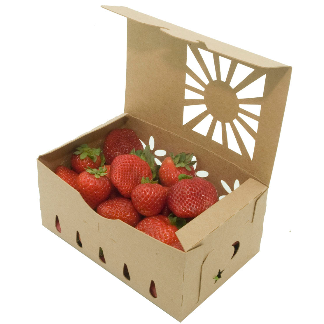 1 Quart Kraft Produce Container | Vented | Compostable & Recyclable