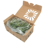 1 Quart Kraft Produce Container | Vented | Compostable & Recyclable