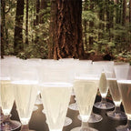 Compostable champagne glasses filled with a white beverage in a forest setting