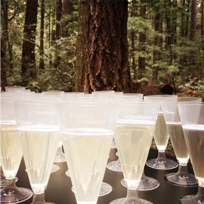 Compostable champagne glasses filled with a white beverage in a forest setting