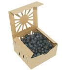 1 Pint Kraft Produce Container | Vented | Compostable & Recyclable