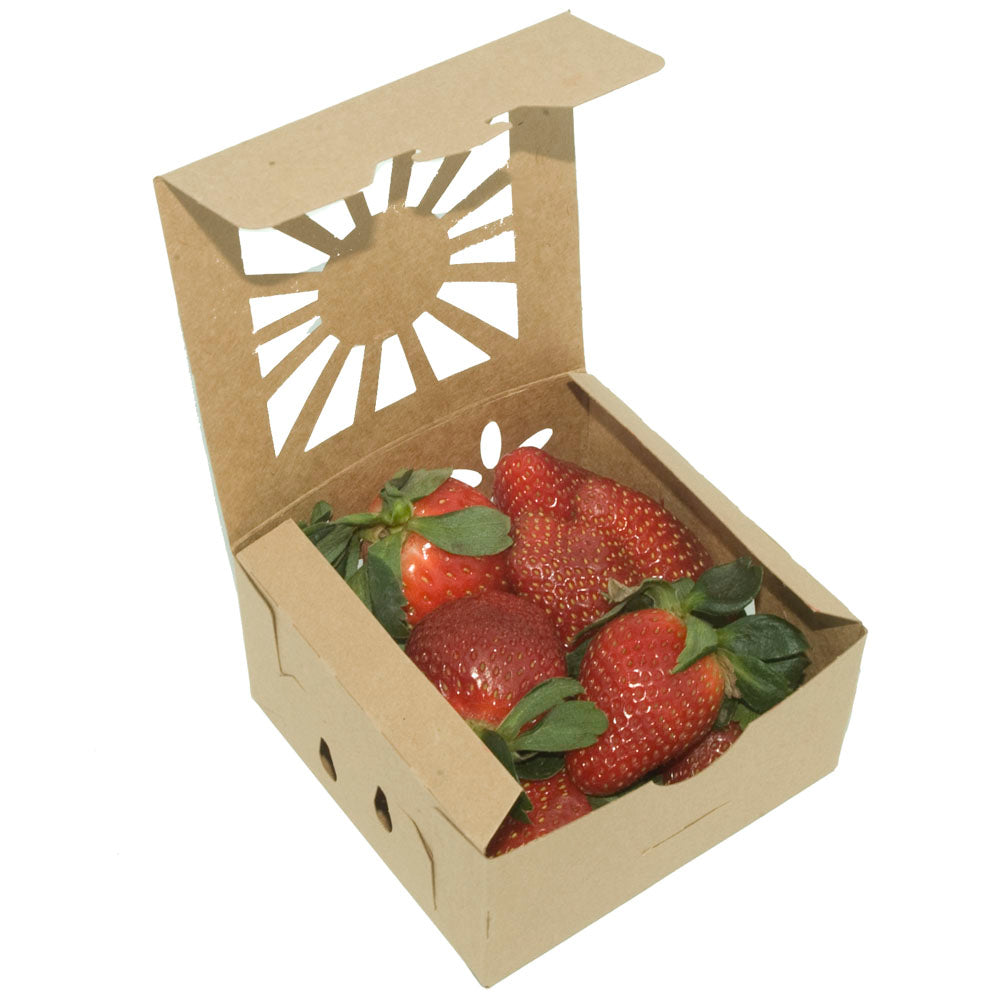 1 Pint Kraft Produce Container | Vented | Compostable & Recyclable