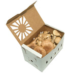 1.5 Tall Quart Kraft Produce Container | Reversible & Vented | Compostable & Recyclable