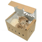 1.5 Tall Quart Kraft Produce Container | Reversible & Vented | Compostable & Recyclable