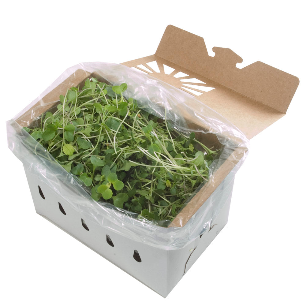 1.5 Tall Quart Kraft Produce Container | Reversible & Vented | Compostable & Recyclable