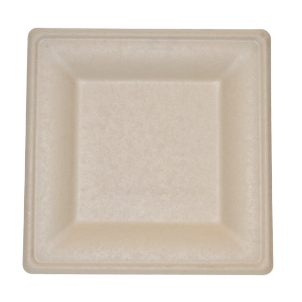 10 inch brown biodegradable plate on white background
